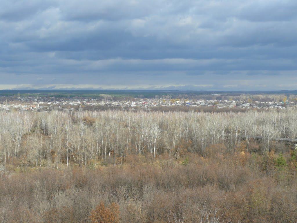 Станично-Луганське з panoramio.com (ч.2) - Станично-Луганское