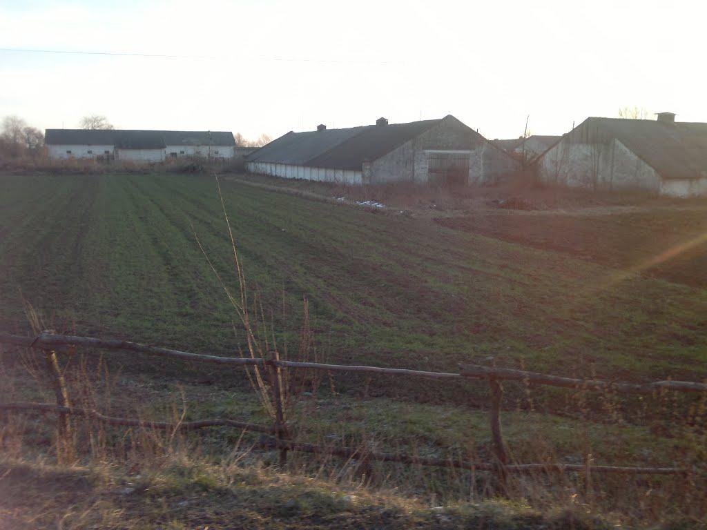 Бабина з panoramio.com - Бабина