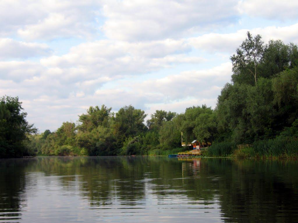 Кияшки з panoramio.com - Кияшки