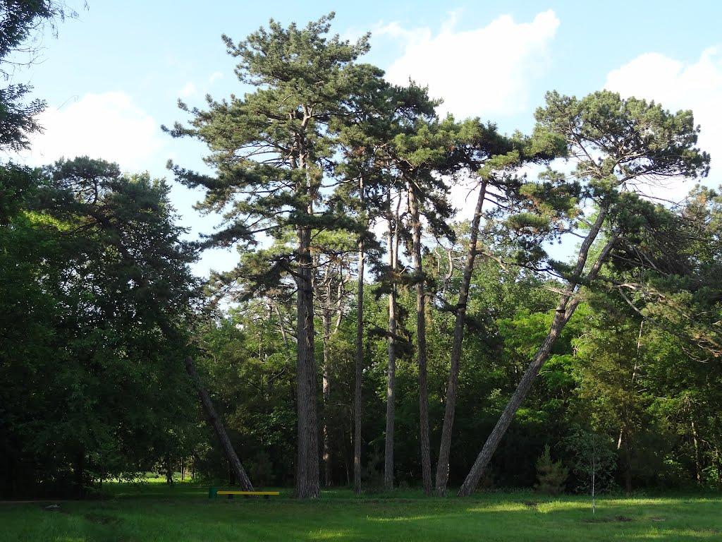 Асканія-Нова з panoramio.com - Асканія-Нова