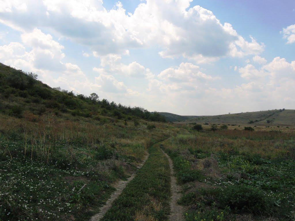Калинівка з panoramio.com - Калиновка