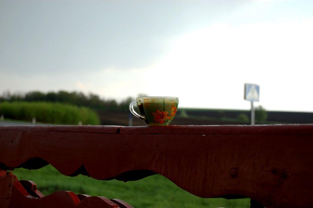 Пішки з panoramio.com - Пешки