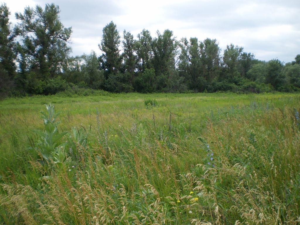 Юганівка з panoramio.com - Юганівка