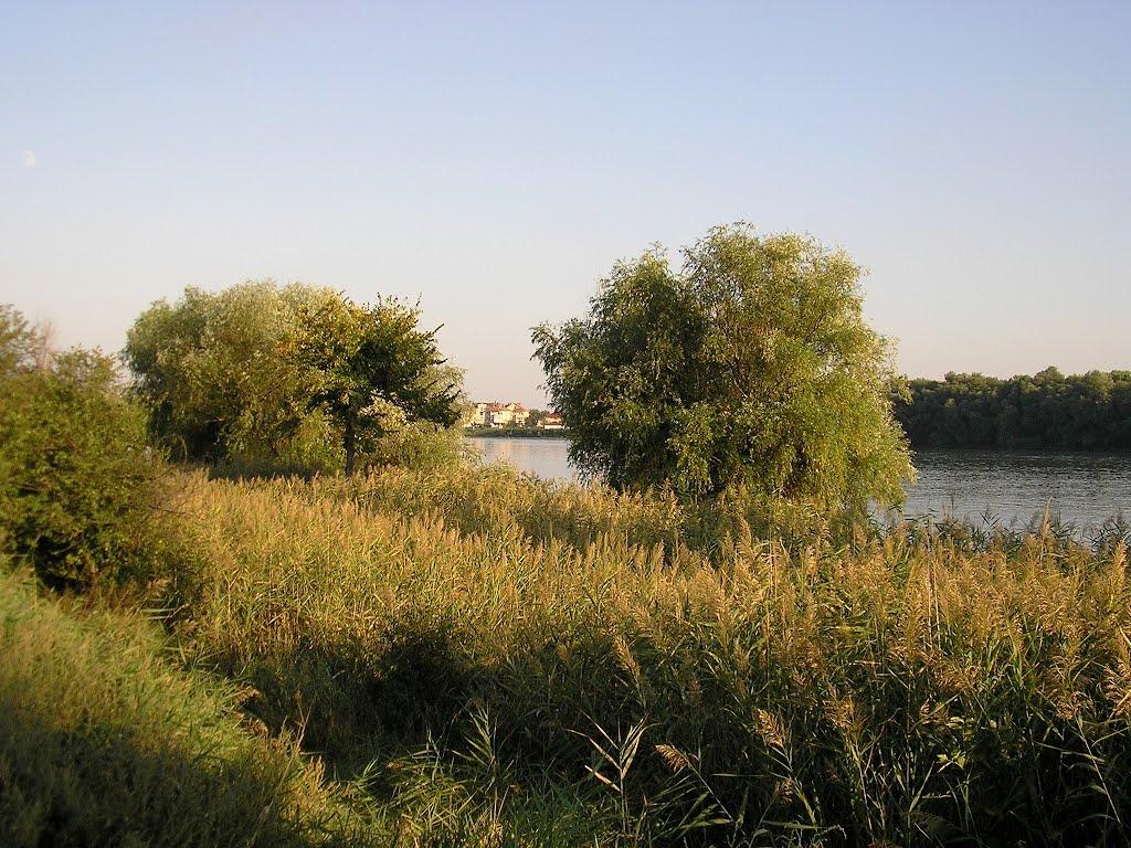 Кілія з panoramio.com (ч.2) - Кілія