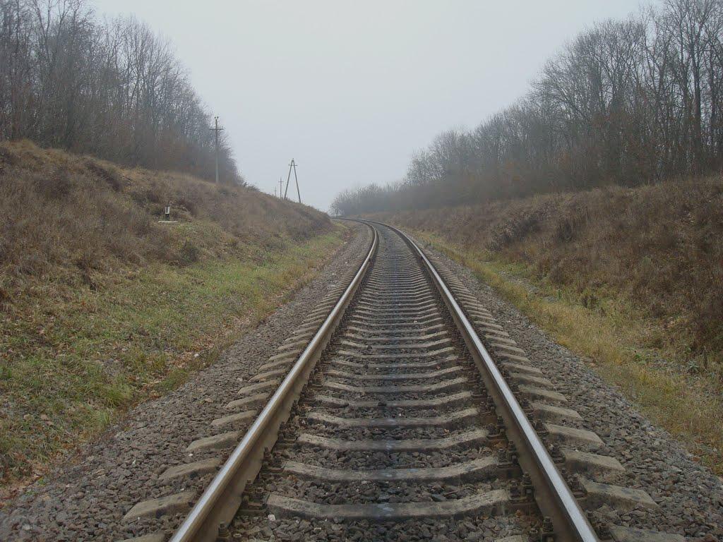 Соколівка з panoramio.com - Соколівка