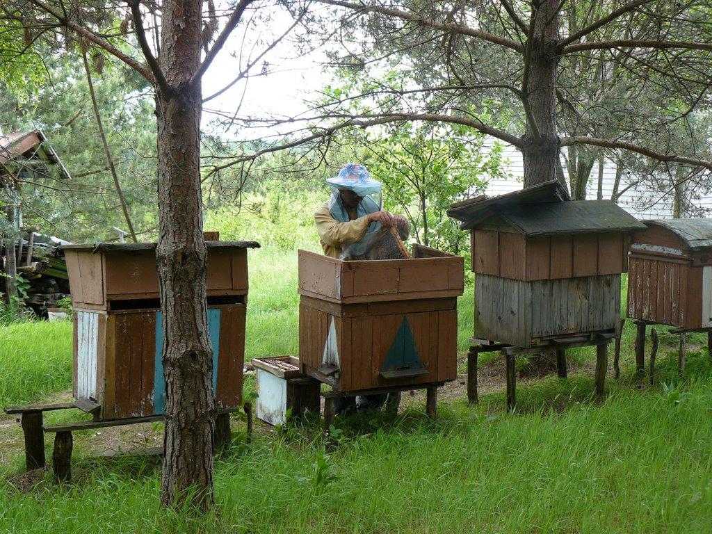 Снятинка з panoramio.com - Снятинка