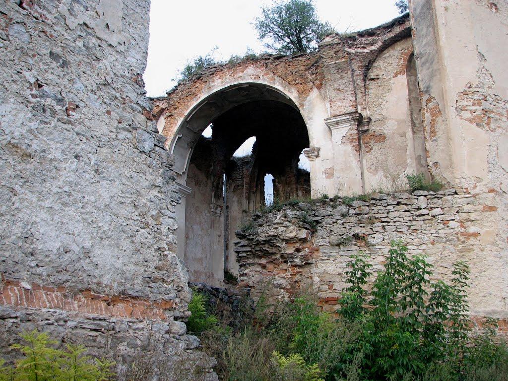 Требухівці з panoramio.com - Trebukhivtsi