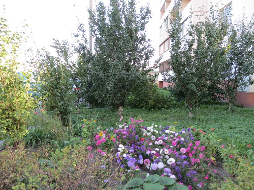 Гнідин з panoramio.com (ч.3) - Gnidyn