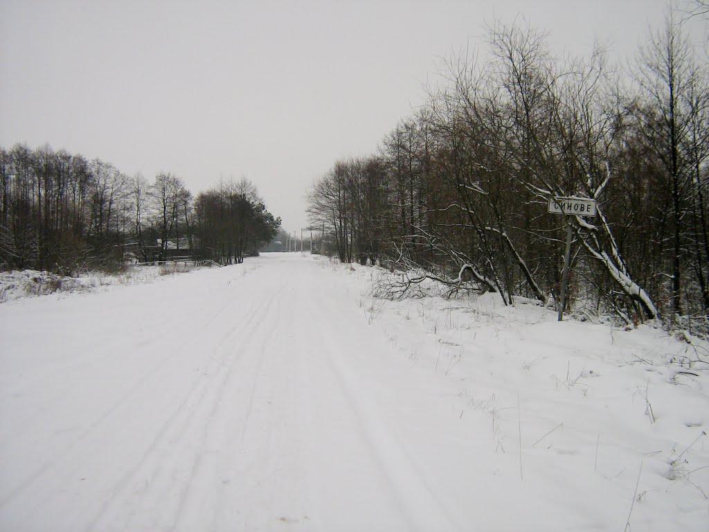 Синове з panoramio.com - Синове