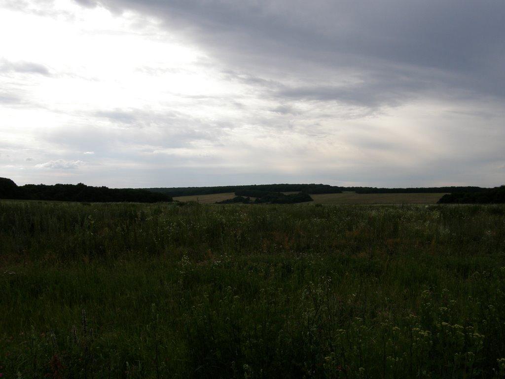 Рокитне з panoramio.com - Рокитне