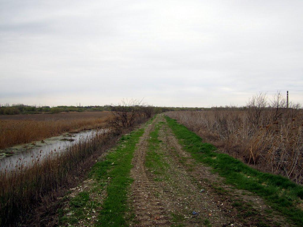 Безлюдівка з panoramio.com (ч.2) - Безлюдівка