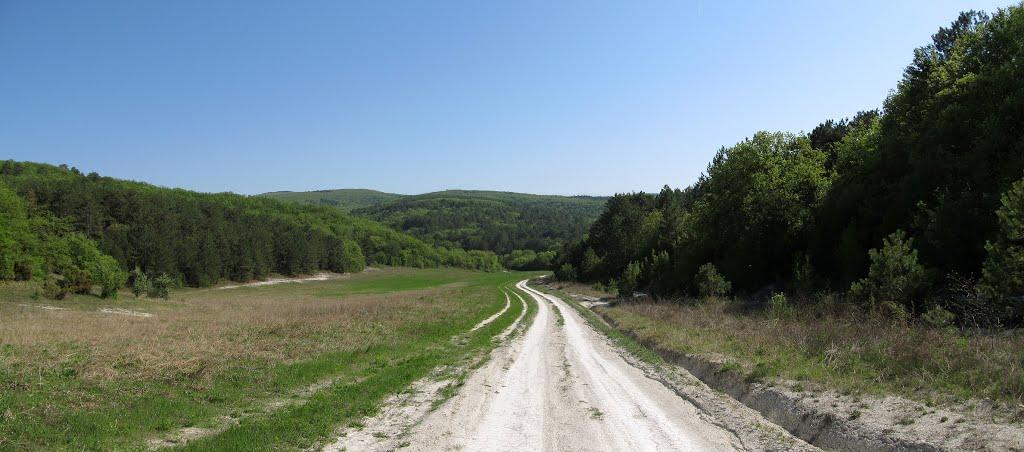 Велике Садове з panoramio.com - Большое Садовое