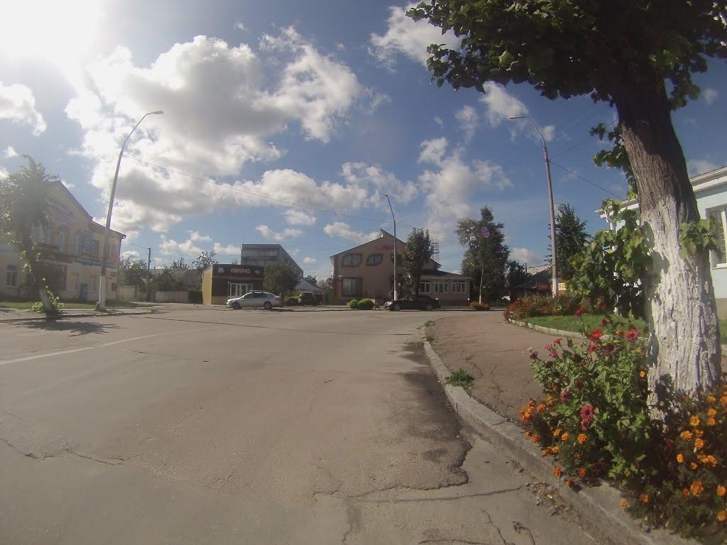Новоград-Волинський з panoramio.com (ч.3) - Новоград-Волинський