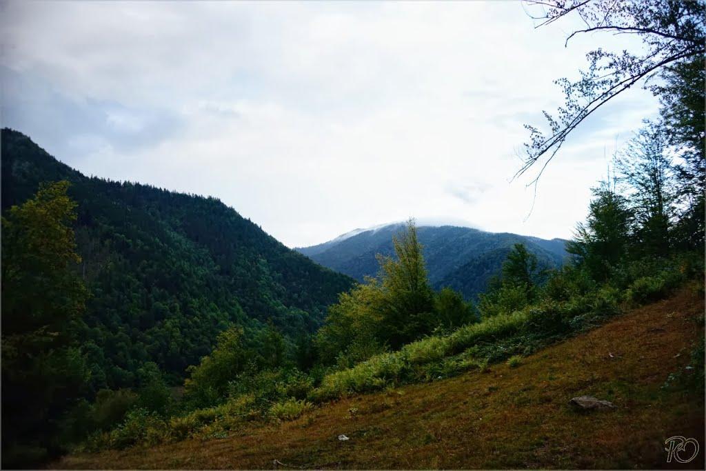 Усть-Чорна з panoramio.com - Усть-Чорна