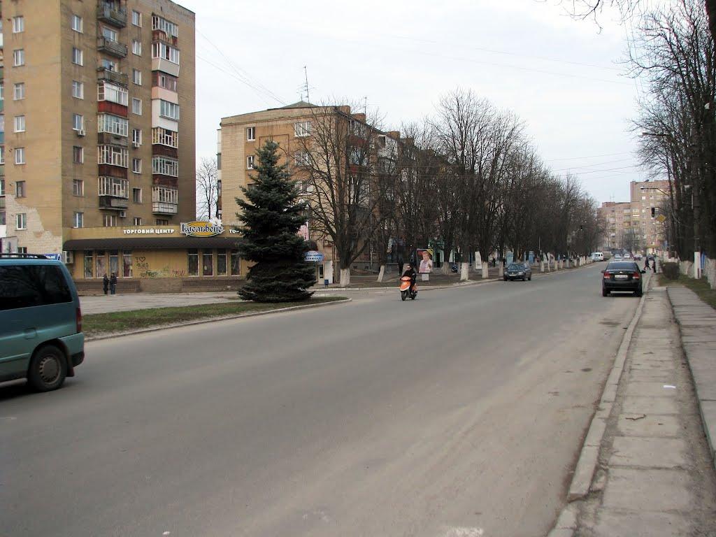 Фастів з panoramio.com (ч.2) - Фастов
