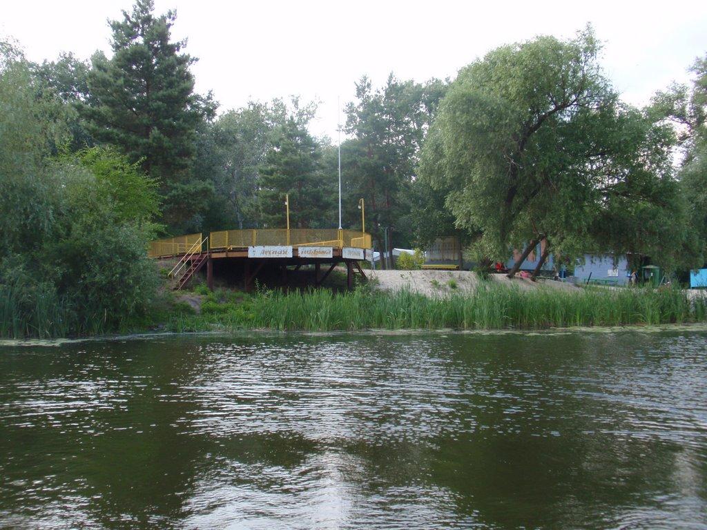 Кияшки з panoramio.com - Кияшки