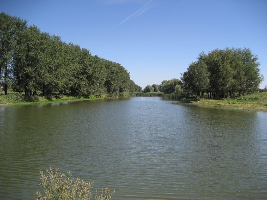 Нижні Сірогози з panoramio.com - Нижні Сірогози