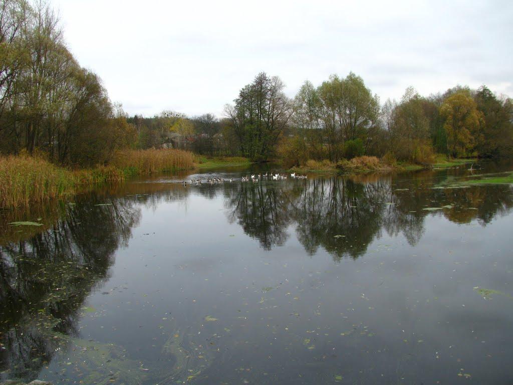 Лютенські Будища з panoramio.com - Лютенські Будища