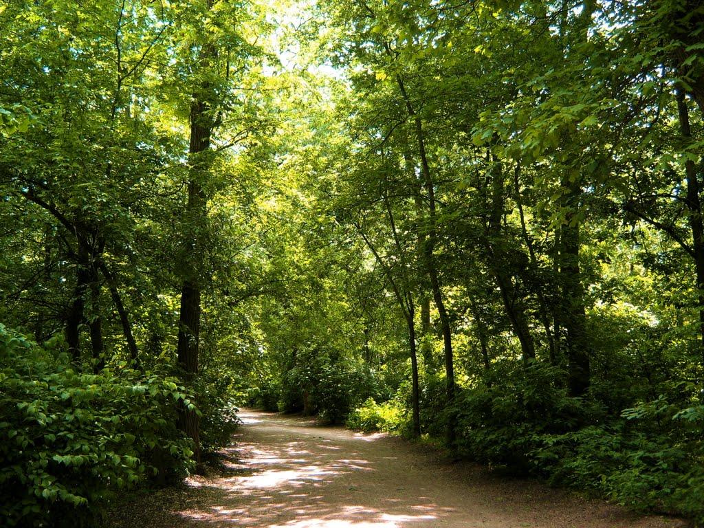 Асканія-Нова з panoramio.com - Асканія-Нова