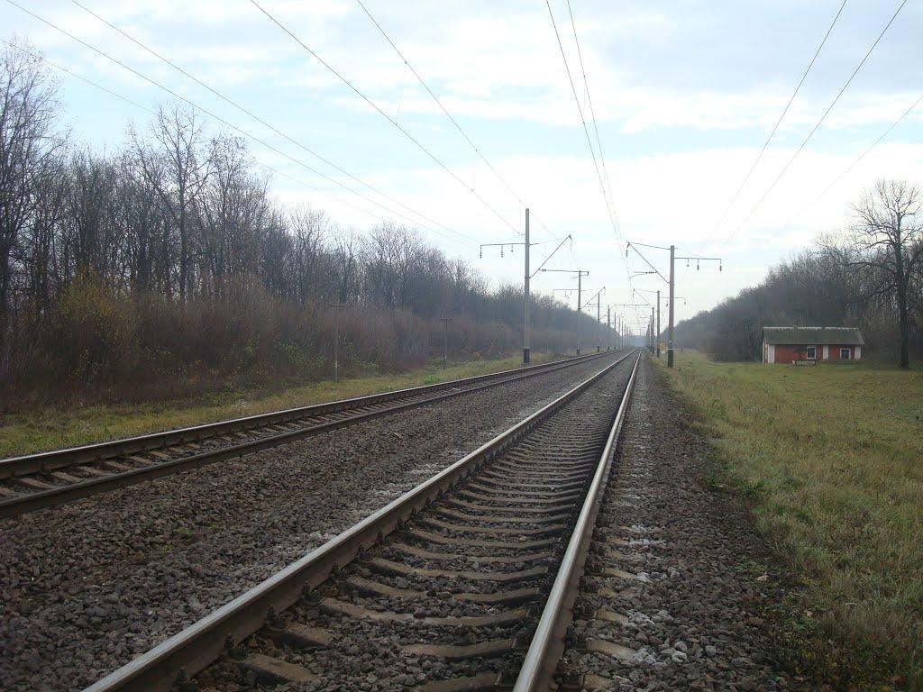 Порохня з panoramio.com - Порохня