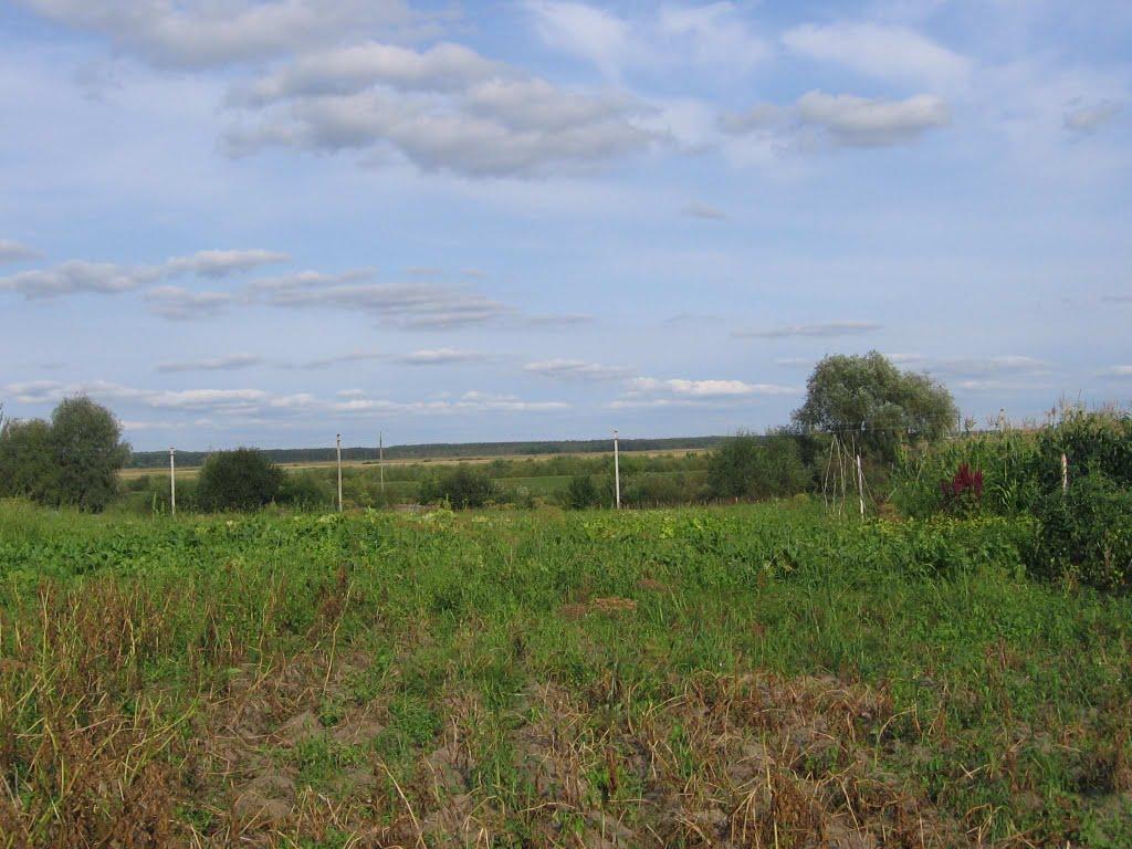 Стрільськ з panoramio.com - Strilsk