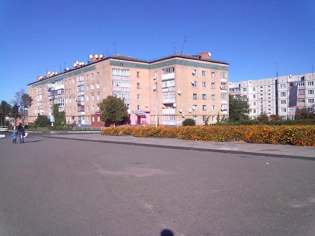 Володарка з panoramio.com - Володарка