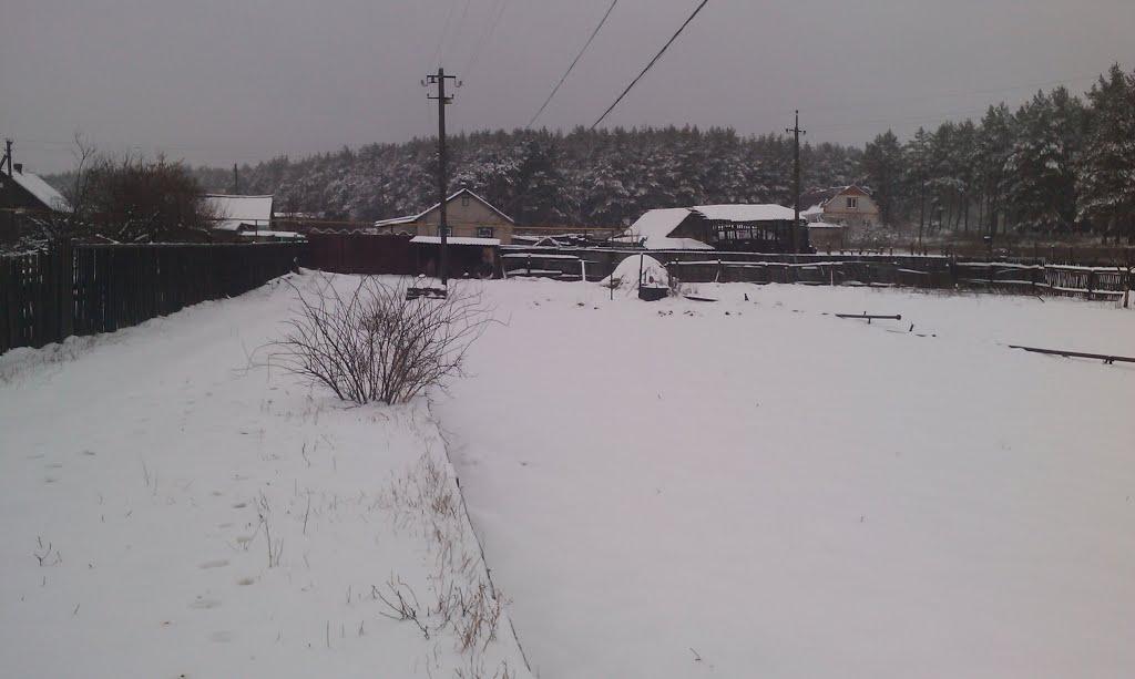 Борівське з panoramio.com - Борівське