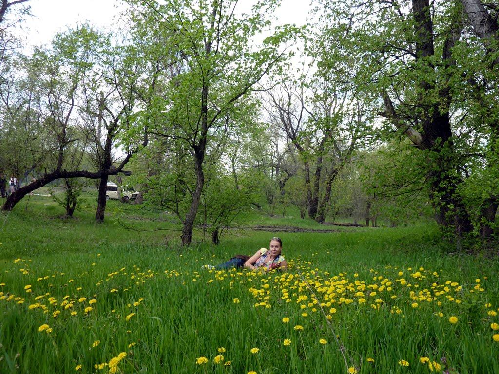 Станично-Луганське з panoramio.com (ч.2) - Станично-Луганское