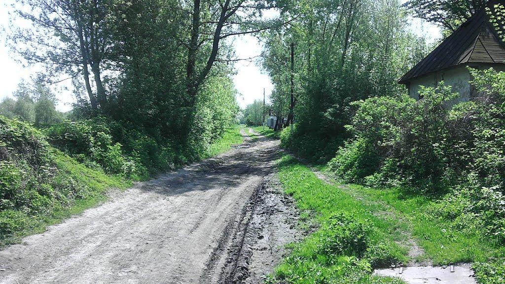 Кошари з panoramio.com - Кошары