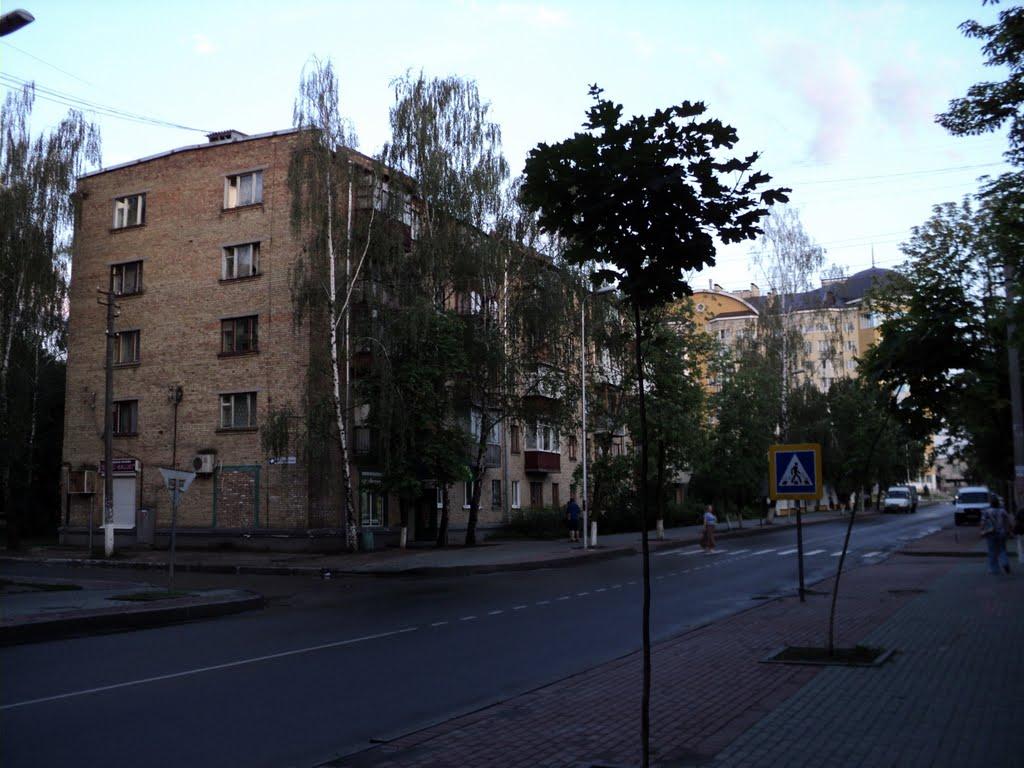 Вишневе з panoramio.com - Вишневое