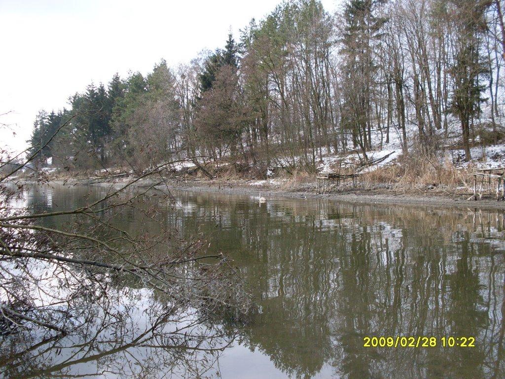 Ладижин з panoramio.com (ч.2) - Ладыжин