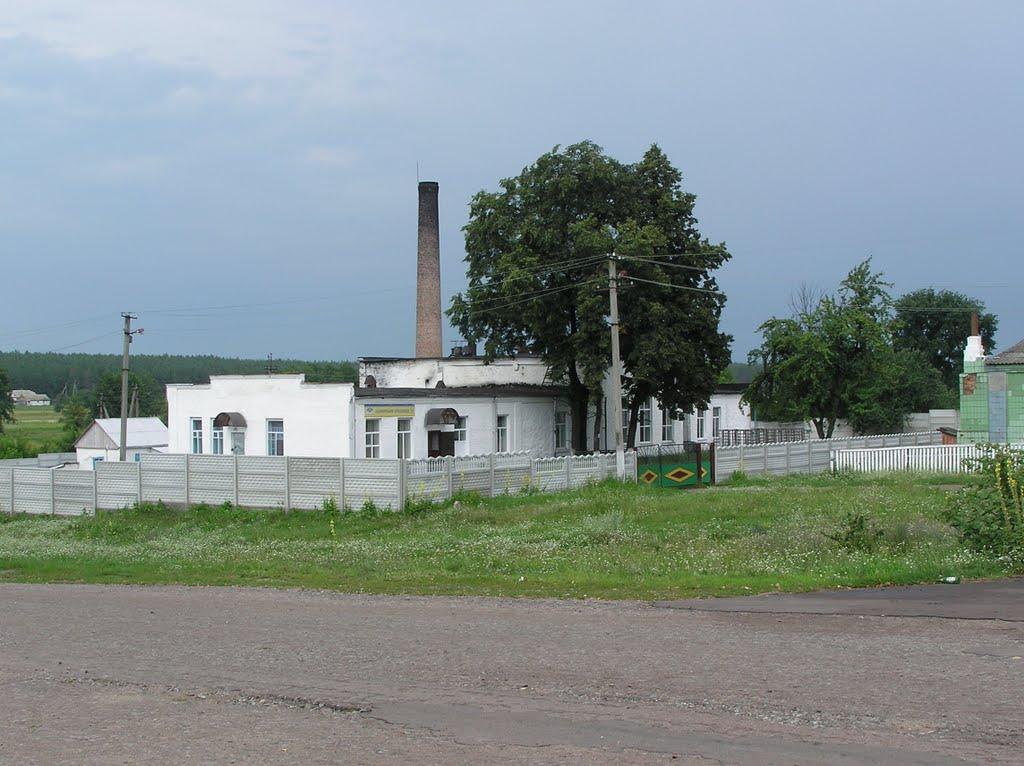 Ушомир з panoramio.com - Ушомир