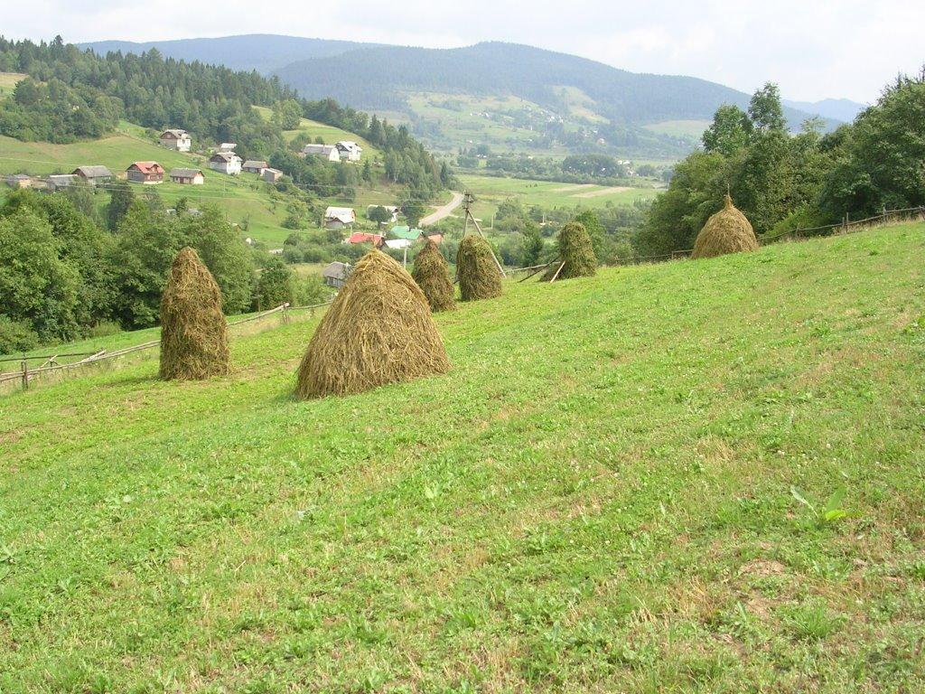 Старий Кропивник з panoramio.com - Старий Кропивник