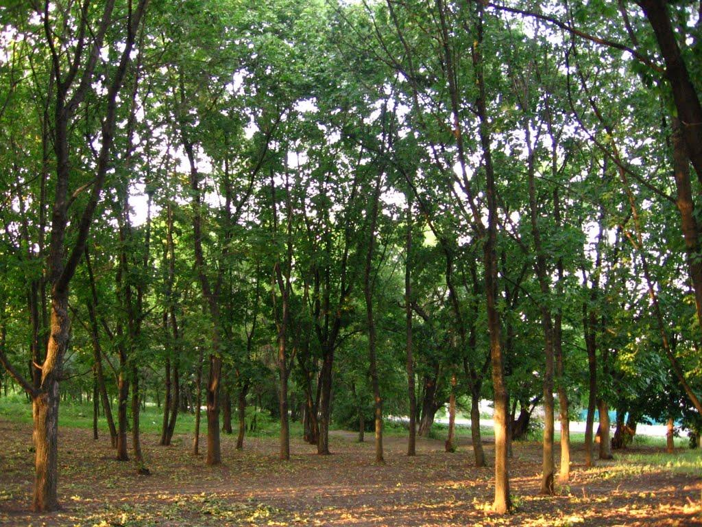 Катеринівка з panoramio.com - Катериновка