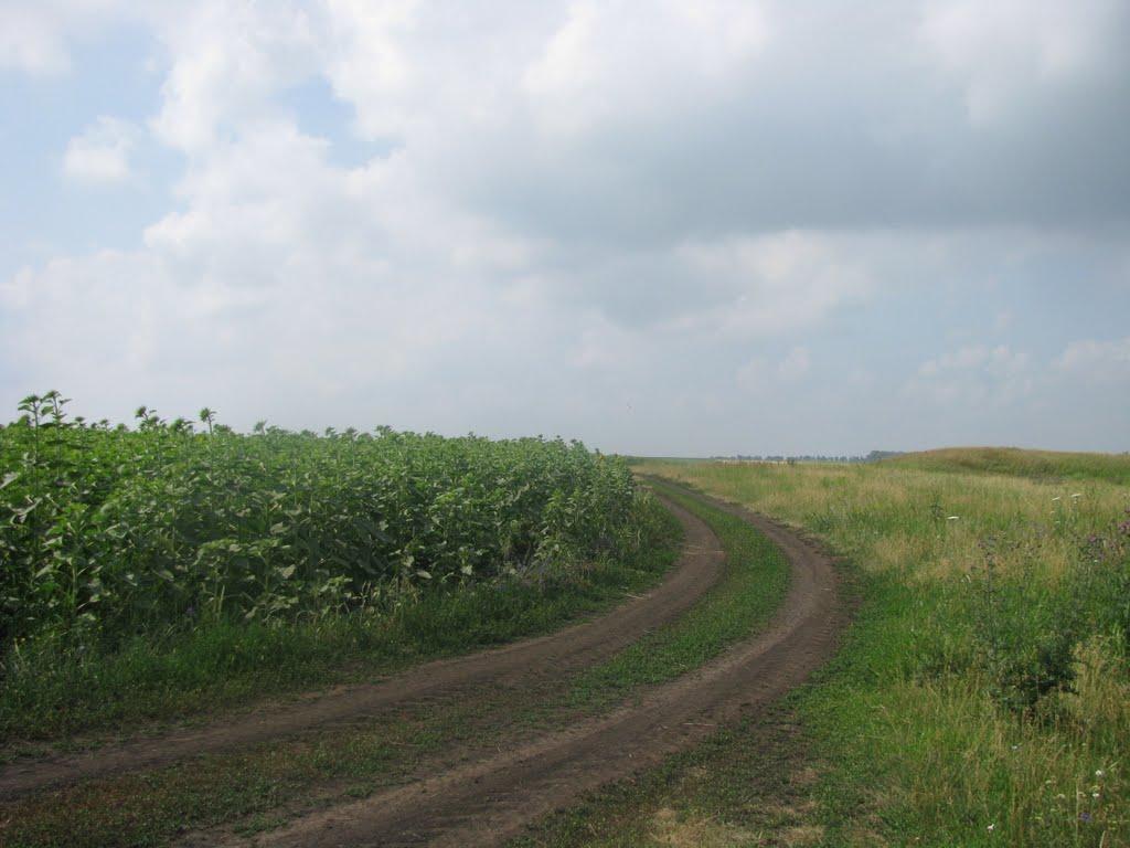 Аркушине з panoramio.com - Аркушино