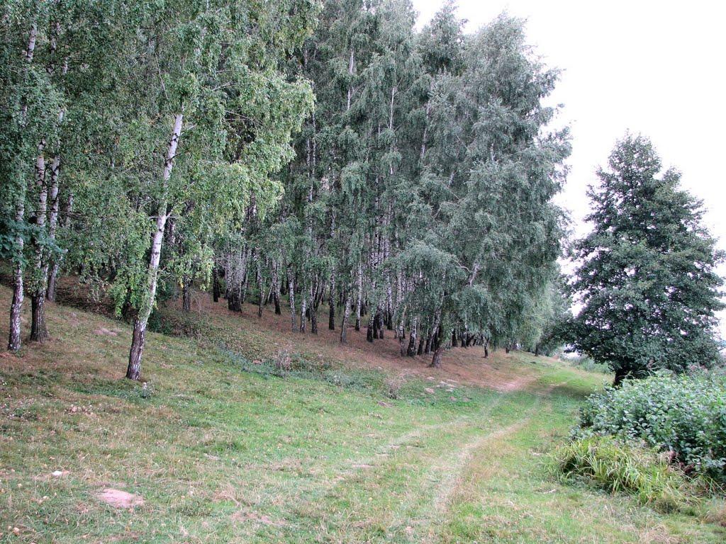 Головчинці з panoramio.com - Головчинці