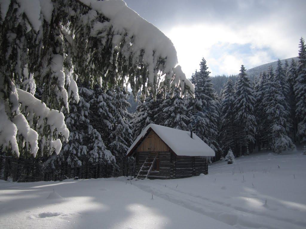 Осмолода з panoramio.com (ч.2) - Осмолода