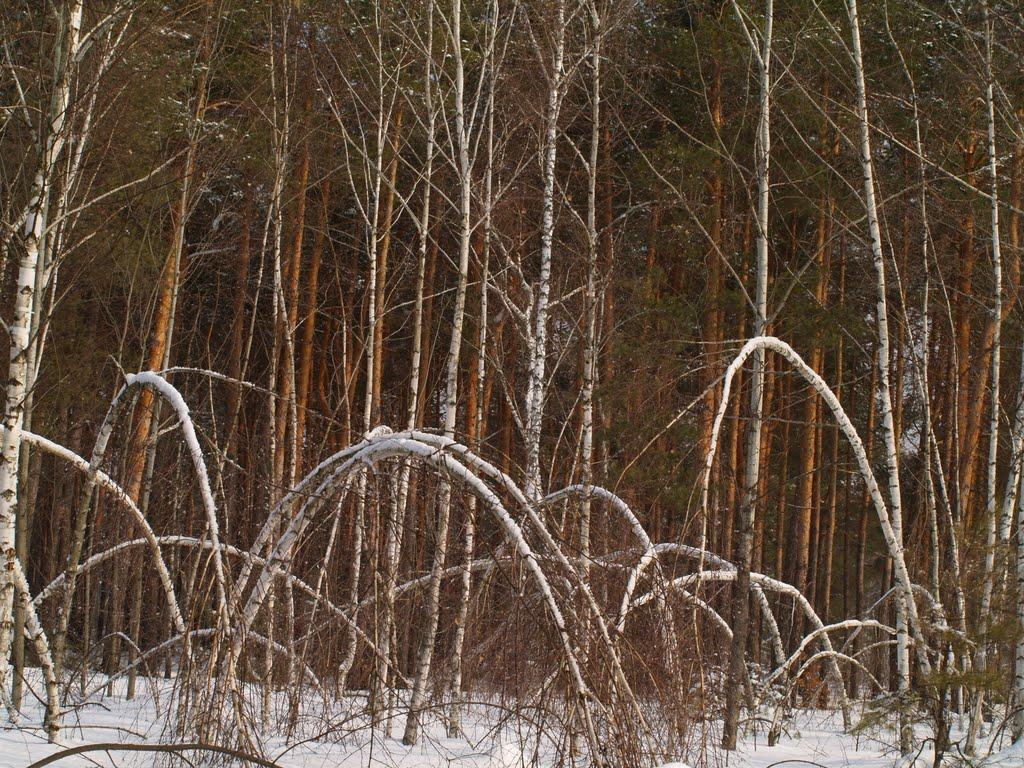 Погреби з panoramio.com (ч.3) - Погреби