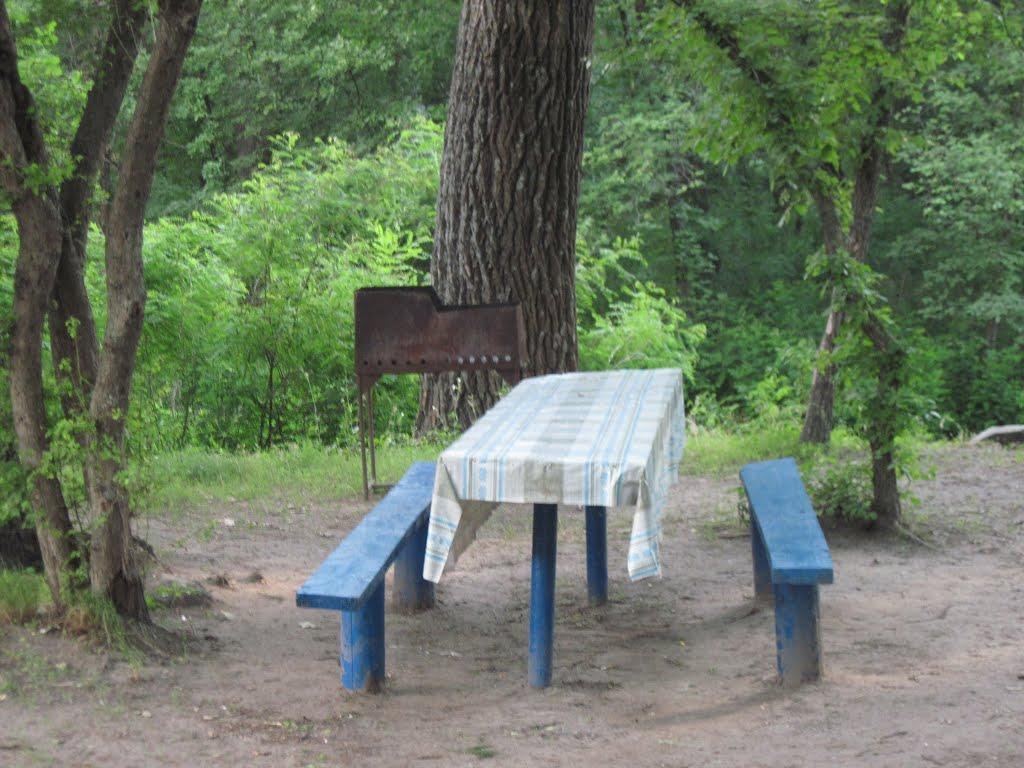 Кияшки з panoramio.com - Кияшки