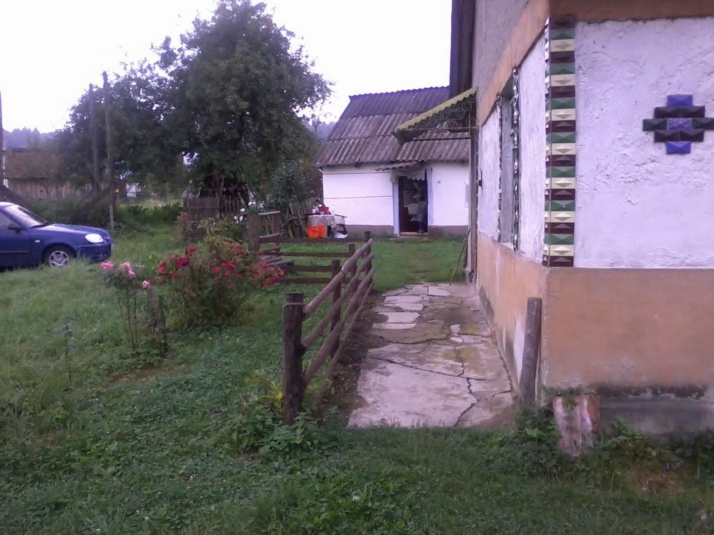 Великий Бичків з panoramio.com - Великий Бичків