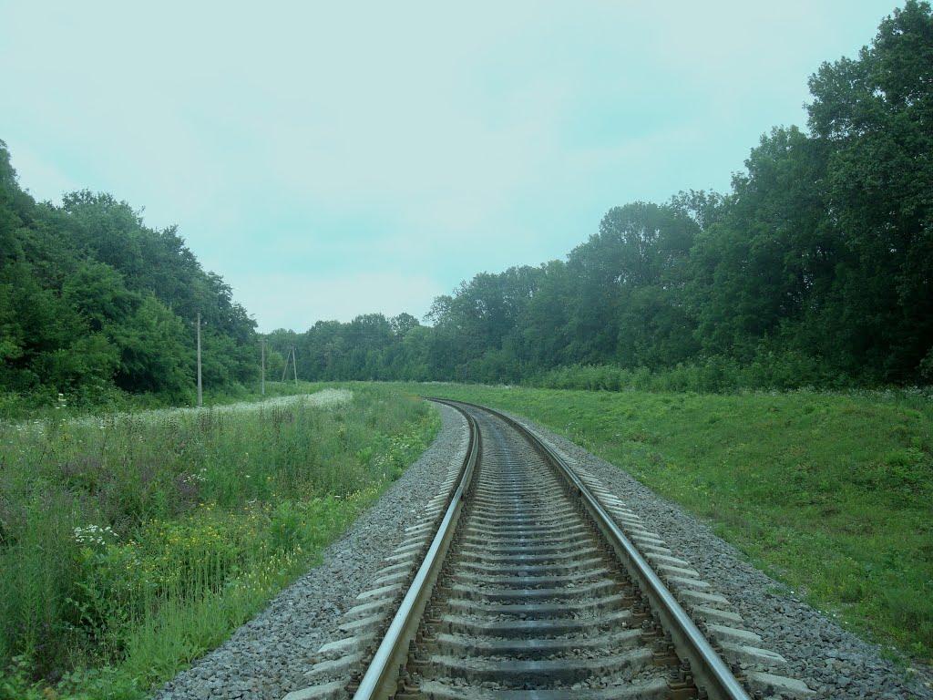 Нігин з panoramio.com - Нігин