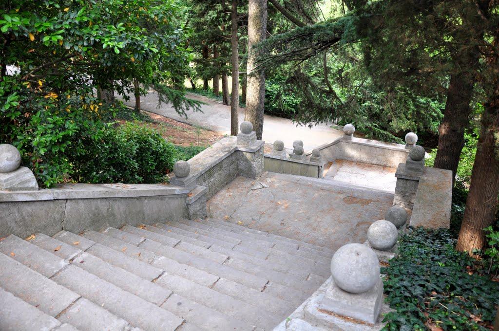 Підгородне з panoramio.com - Підгородне