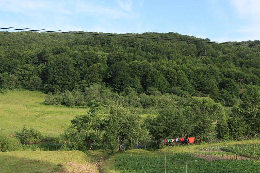 Верхні Ворота з panoramio.com - Верхні Ворота