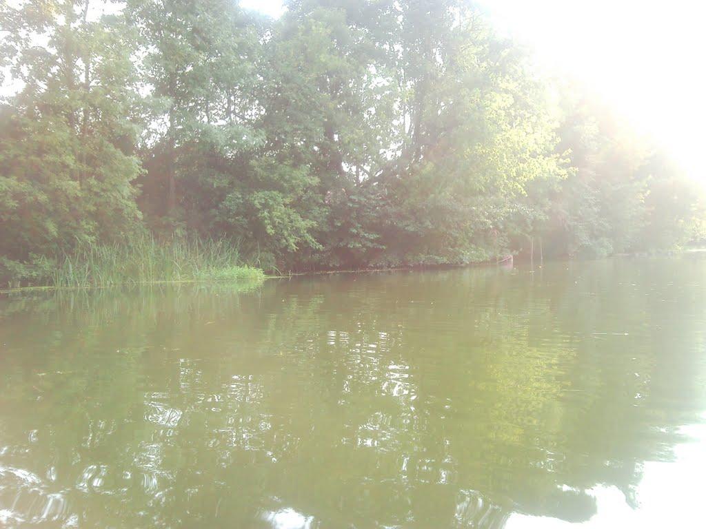 Плетенівка з panoramio.com - Плетеновка