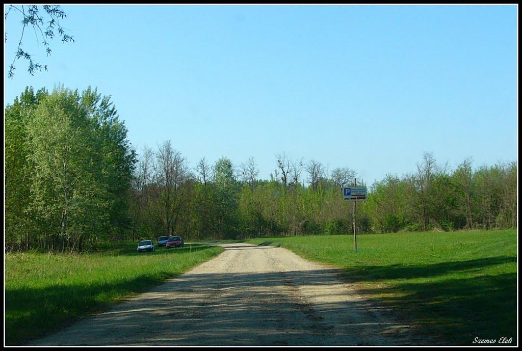 Галабор з panoramio.com - Галабор
