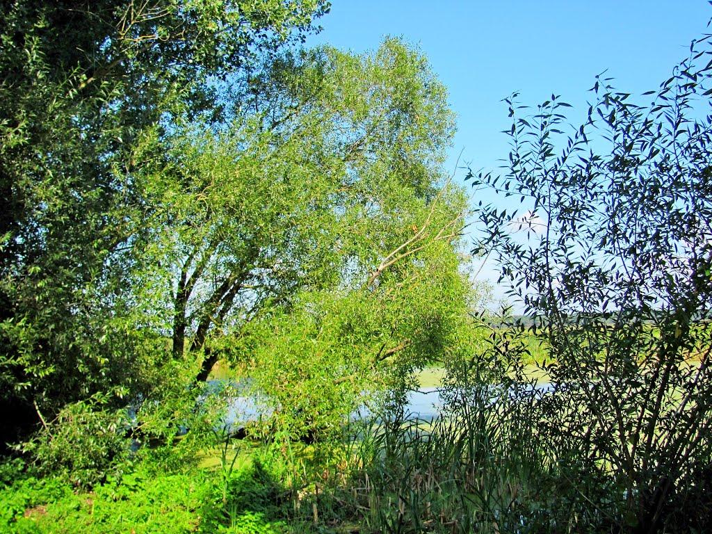 Четвертня з panoramio.com - Четвертня