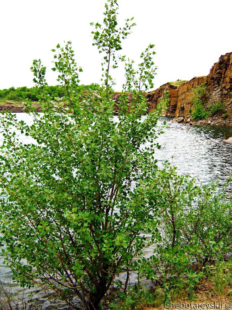 Зугрес з panoramio.com (ч.2) - Zugres