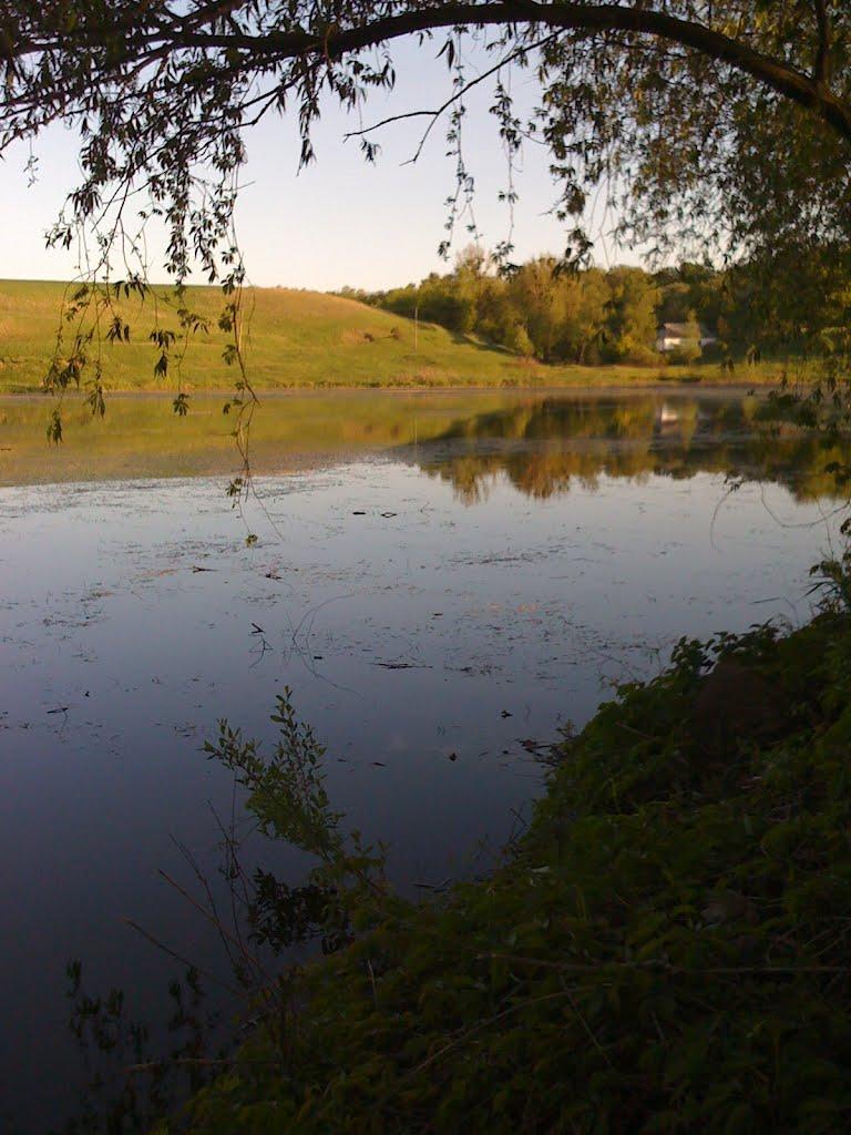 Кордонівка з panoramio.com - Кордонівка