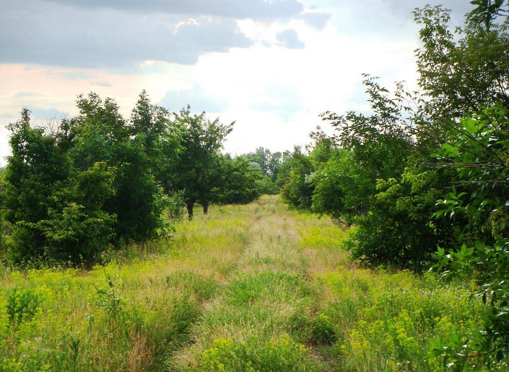 Гур'їв Козачок з panoramio.com - Гур'їв Козачок