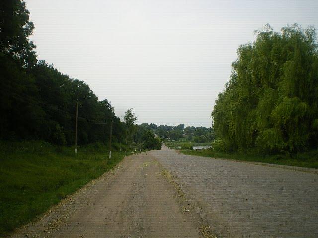 Черепашинці з panoramio.com - Черепашинці